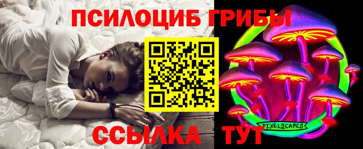 Псилоцибиновые грибы мицелий  купить наркотик  Глазов  Псилоцибиновые грибы Cubensis  Вход с VPN 
